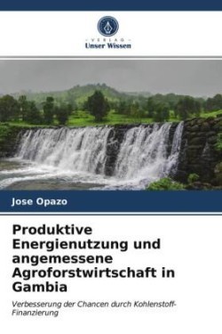 Produktive Energienutzung und angemessene Agroforstwirtschaft in Gambia