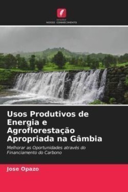 Usos Produtivos de Energia e Agroflorestação Apropriada na Gâmbia