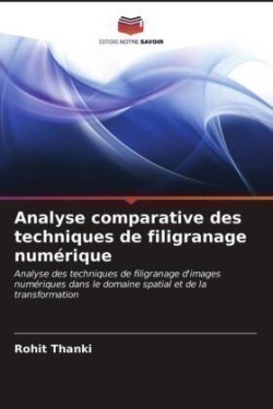 Analyse comparative des techniques de filigranage numérique