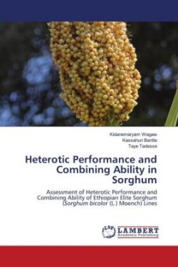 Heterotic Performance and Combining Ability in Sorghum