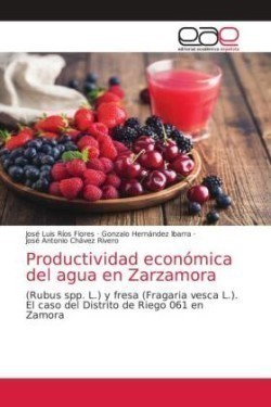 Productividad económica del agua en Zarzamora