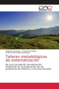 Talleres metodológicos de sistematización