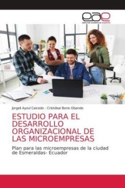 Estudio Para El Desarrollo Organizacional de Las Microempresas