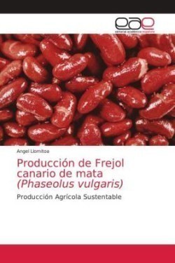 Producción de Frejol canario de mata (Phaseolus vulgaris)