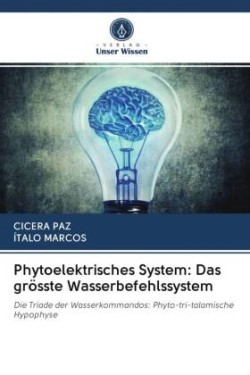 Phytoelektrisches System: Das grösste Wasserbefehlssystem