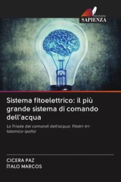 Sistema fitoelettrico: il più grande sistema di comando dell'acqua