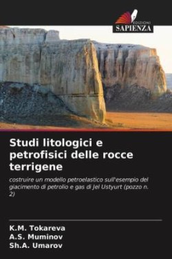 Studi litologici e petrofisici delle rocce terrigene