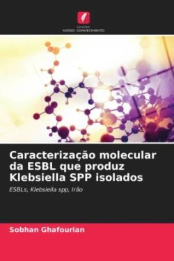 Caracterização molecular da ESBL que produz Klebsiella SPP isolados