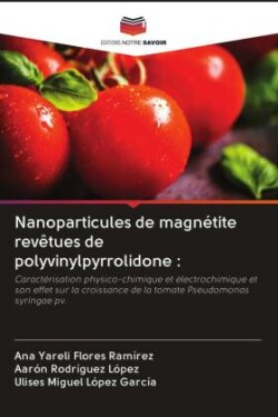 Nanoparticules de magnétite revêtues de polyvinylpyrrolidone :