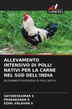 Allevamento Intensivo Di Polli Nativi Per La Carne Nel Sud Dell'india