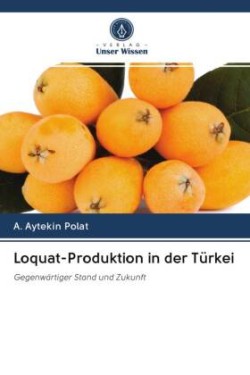 Loquat-Produktion in der Türkei