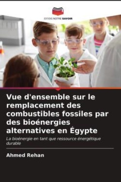 Vue d'ensemble sur le remplacement des combustibles fossiles par des bioénergies alternatives en Égypte