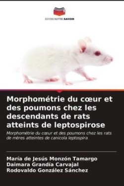 Morphométrie du coeur et des poumons chez les descendants de rats atteints de leptospirose