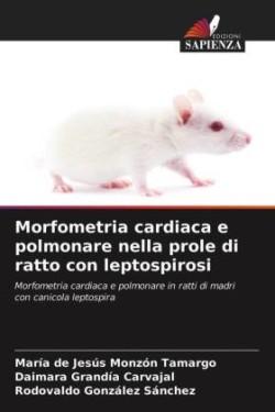 Morfometria cardiaca e polmonare nella prole di ratto con leptospirosi