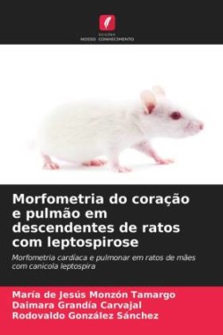 Morfometria do coração e pulmão em descendentes de ratos com leptospirose