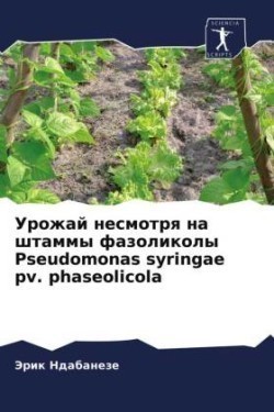 Урожай несмотря на штаммы фазоликолы Pseudomonas syringae pv. ph