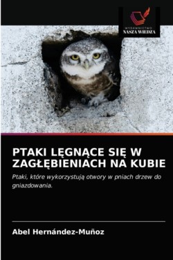 Ptaki LĘgnĄce SiĘ W ZaglĘbieniach Na Kubie