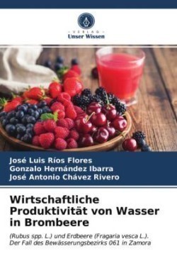 Wirtschaftliche Produktivität von Wasser in Brombeere