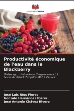 Productivité économique de l'eau dans le Blackberry