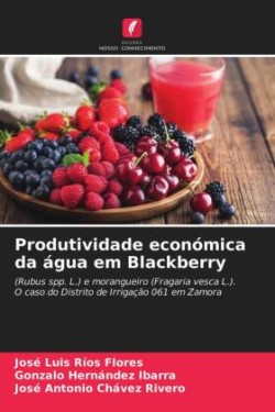 Produtividade económica da água em Blackberry