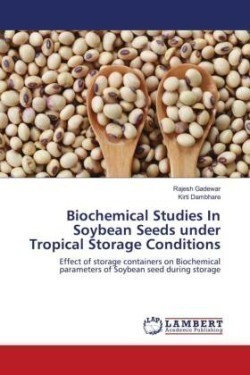 Biochemical Studies In Soybean Seeds under Tropical Storage Conditions