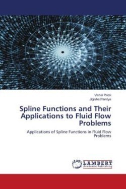 Spline Functions and Their Applications to Fluid Flow Problems