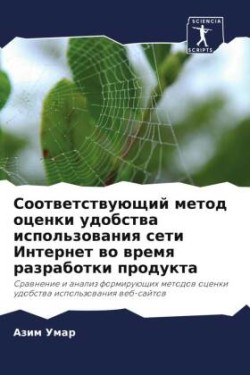 Sootwetstwuüschij metod ocenki udobstwa ispol'zowaniq seti Internet wo wremq razrabotki produkta