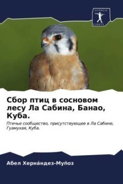 Сбор птиц в сосновом лесу Ла Сабина, Банао, К&