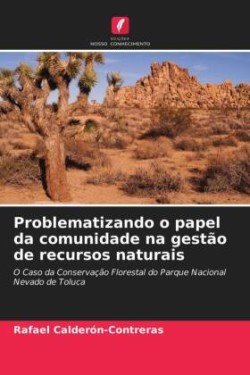 Problematizando o papel da comunidade na gestão de recursos naturais