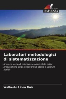 Laboratori metodologici di sistematizzazione