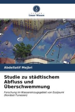 Studie zu städtischem Abfluss und Überschwemmung