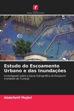 Estudo do Escoamento Urbano e das Inundações