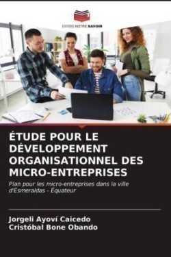 ÉTUDE POUR LE DÉVELOPPEMENT ORGANISATIONNEL DES MICRO-ENTREPRISES