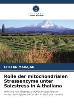 Rolle der mitochondrialen Stressenzyme unter Salzstress in A.thaliana