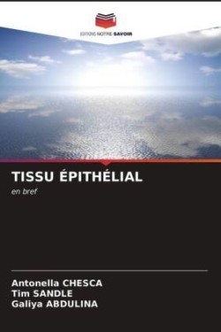 Tissu Épithélial