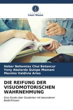 Reifung Der Visuomotorischen Wahrnehmung