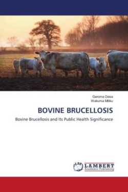 Bovine Brucellosis