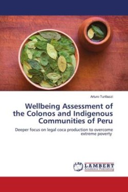 Wellbeing Assessment of the Colonos and Indigenous Communities of Peru