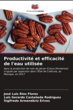 Productivité et efficacité de l'eau utilisée