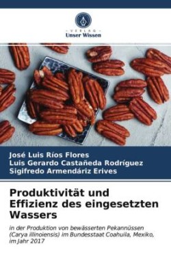 Produktivität und Effizienz des eingesetzten Wassers