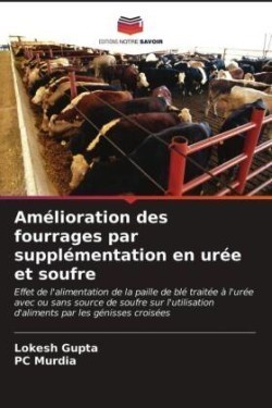 Amélioration des fourrages par supplémentation en urée et soufre