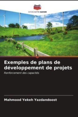 Exemples de plans de développement de projets