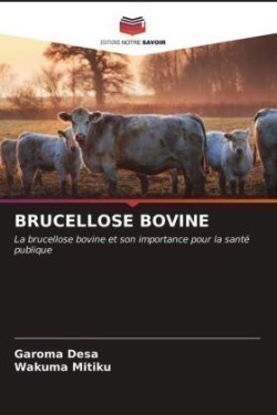 Brucellose Bovine