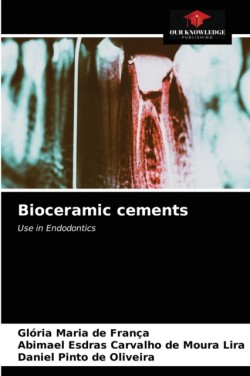 Bioceramic cements