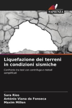 Liquefazione dei terreni in condizioni sismiche