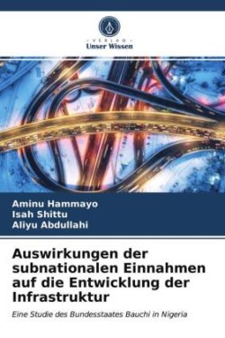 Auswirkungen der subnationalen Einnahmen auf die Entwicklung der Infrastruktur