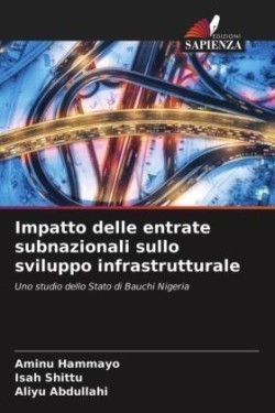 Impatto delle entrate subnazionali sullo sviluppo infrastrutturale