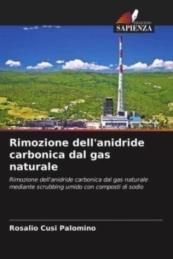 Rimozione dell'anidride carbonica dal gas naturale