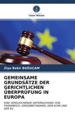 Gemeinsame Grundsätze Der Gerichtlichen Überprüfung in Europa