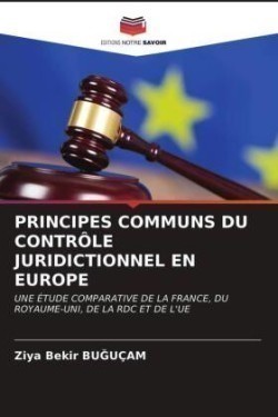 Principes Communs Du Contrôle Juridictionnel En Europe